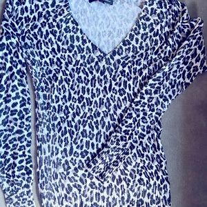 Express v neck sweater